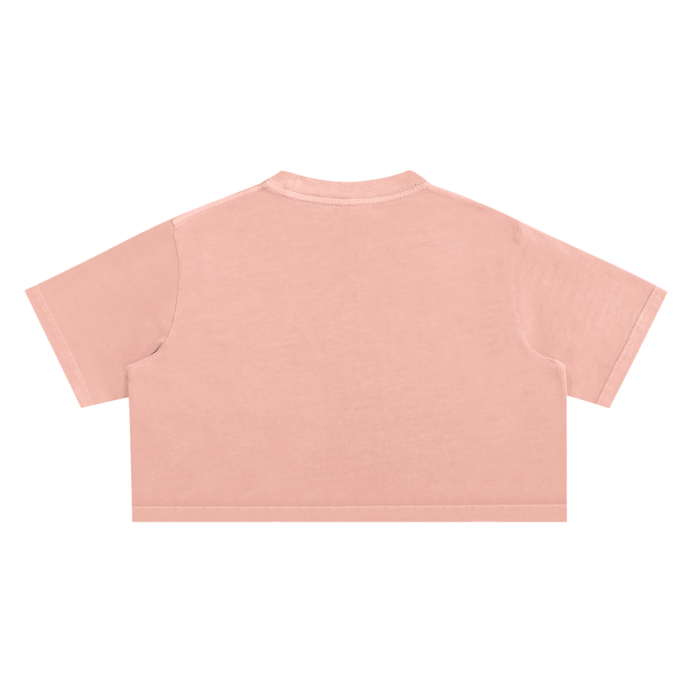 JUST LOVE Pride - Snow Washed Crop Top