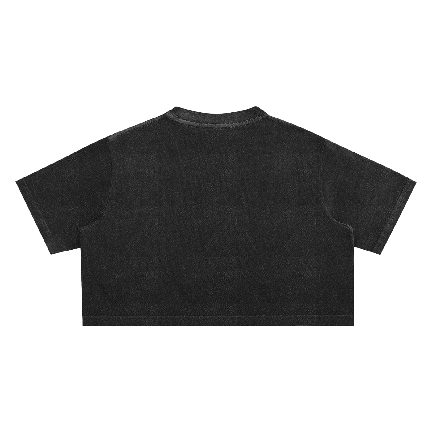 JUST LOVE Pride - Snow Washed Crop Top